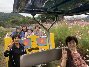 コスモス祭り、楽しんで来ました！