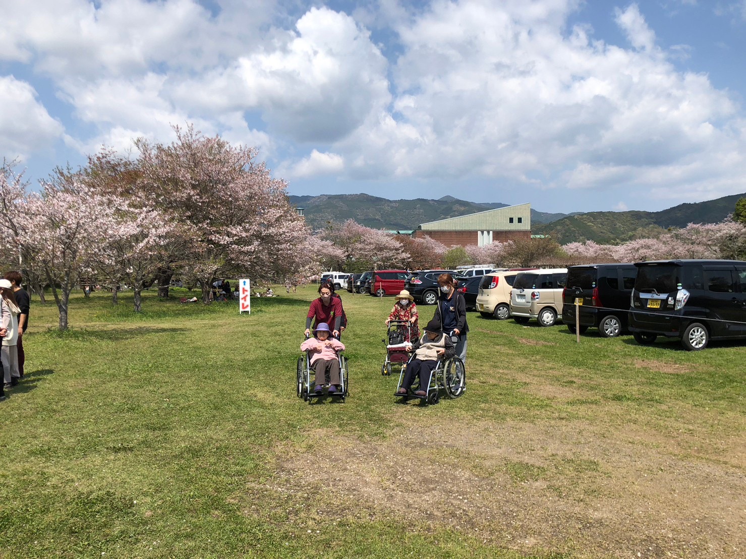 なんごく・のいちでお花見を楽しんできました！