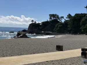 新しくなった桂浜公園、桂浜水族館に行ってきました！